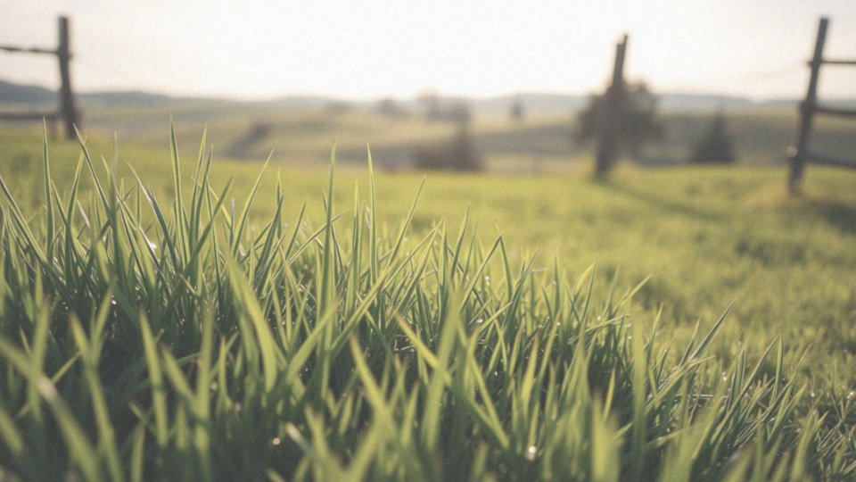 Dlaczego świeża trawa jest ważna dla królików?