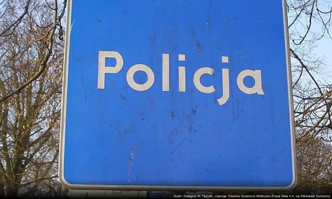 Patrole górskie na quadach – działania policji na rzecz bezpieczeństwa i ochrony przyrody