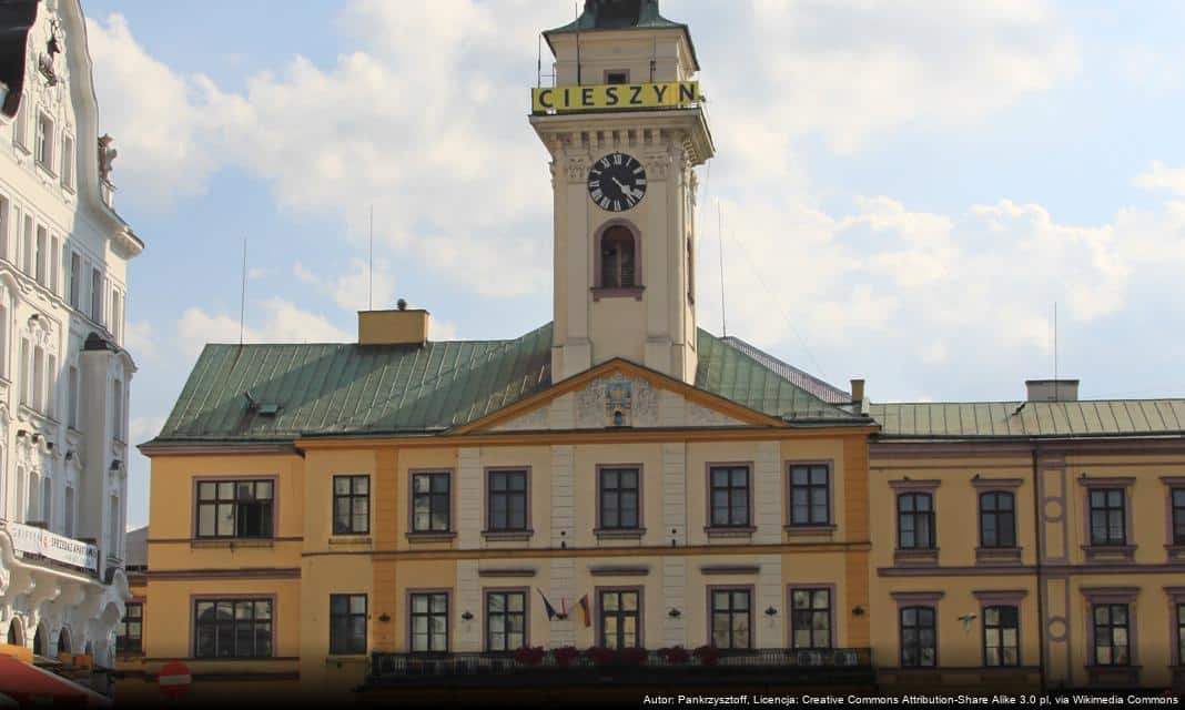 Webinarium dotyczące oszukańczych inwestycji w Cieszynie