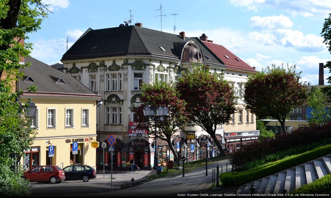 Angaż młodych mieszkańców Cieszyna w działania na rzecz lokalnej społeczności