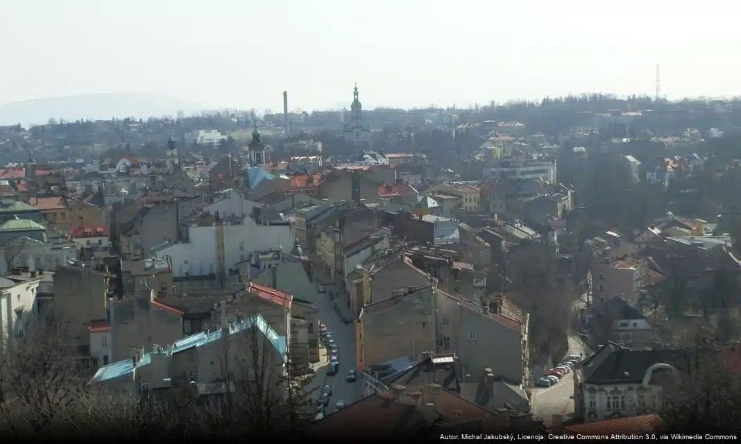 Konsultacje społeczne w Cieszynie: Program opieki nad zwierzętami bezdomnymi